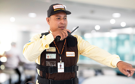 VIGILANCIA Y SEGURIDAD (G)